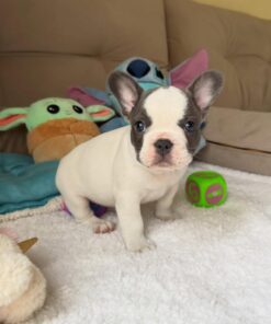 Julie